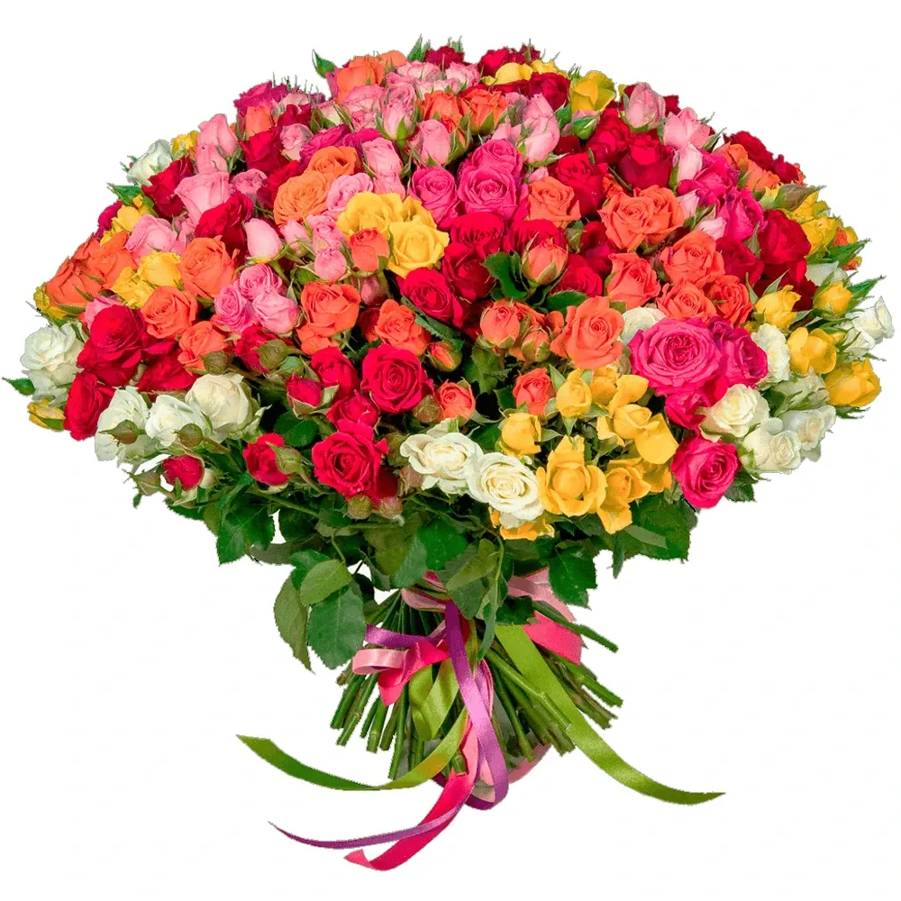 Розы кустовые микс №4